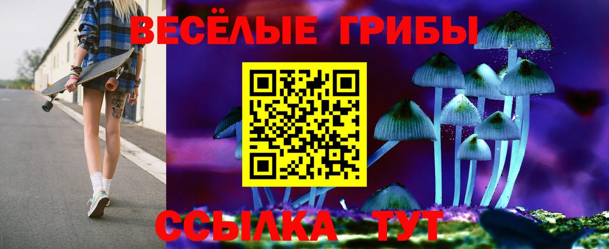Псилоцибиновые грибы прущие грибы  Галлюциногенные грибы MAGIC MUSHROOMS  Вход с VPN  Томск 